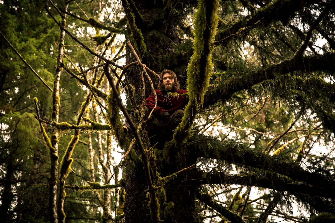 Alaskan Bush People